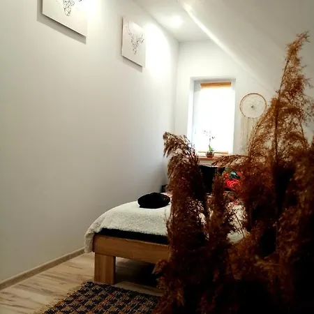 Apartament u Edka przy Dolnej Świeradów-Zdrój Zewnętrze zdjęcie