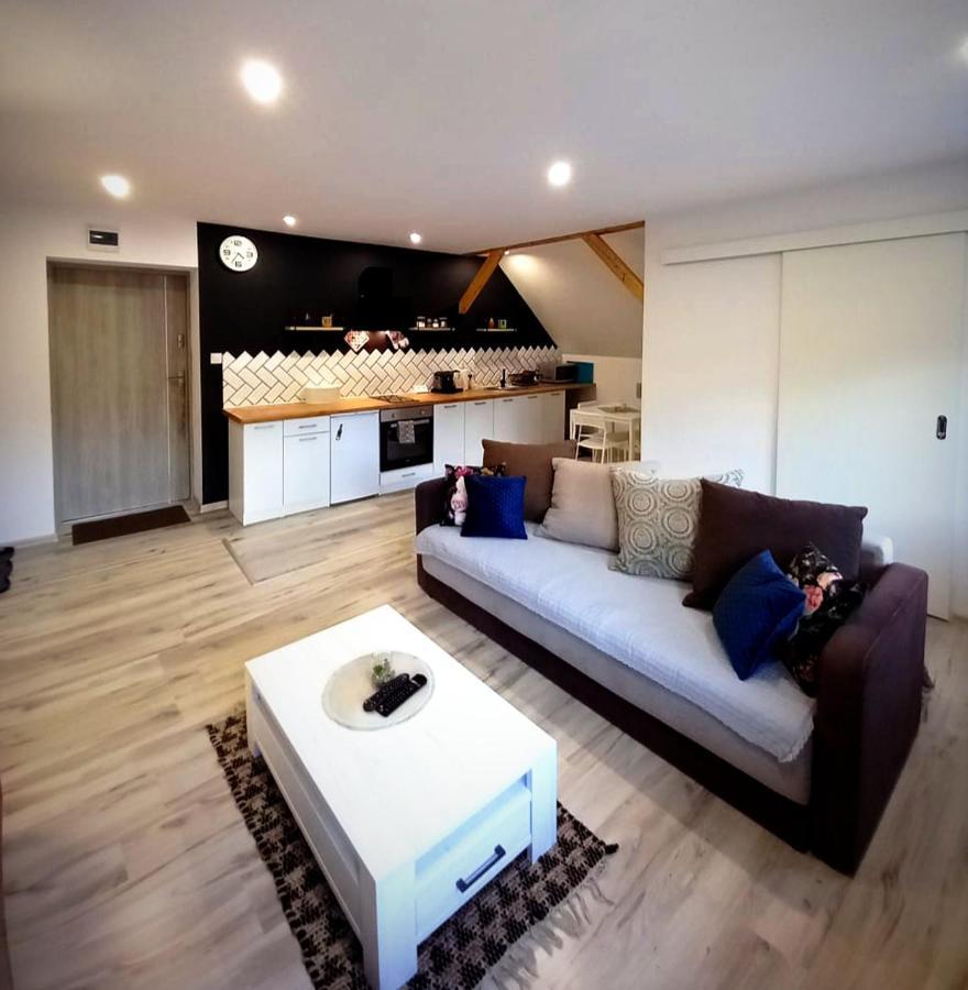 Apartament U Edka Przy Dolnej Świeradów-Zdrój