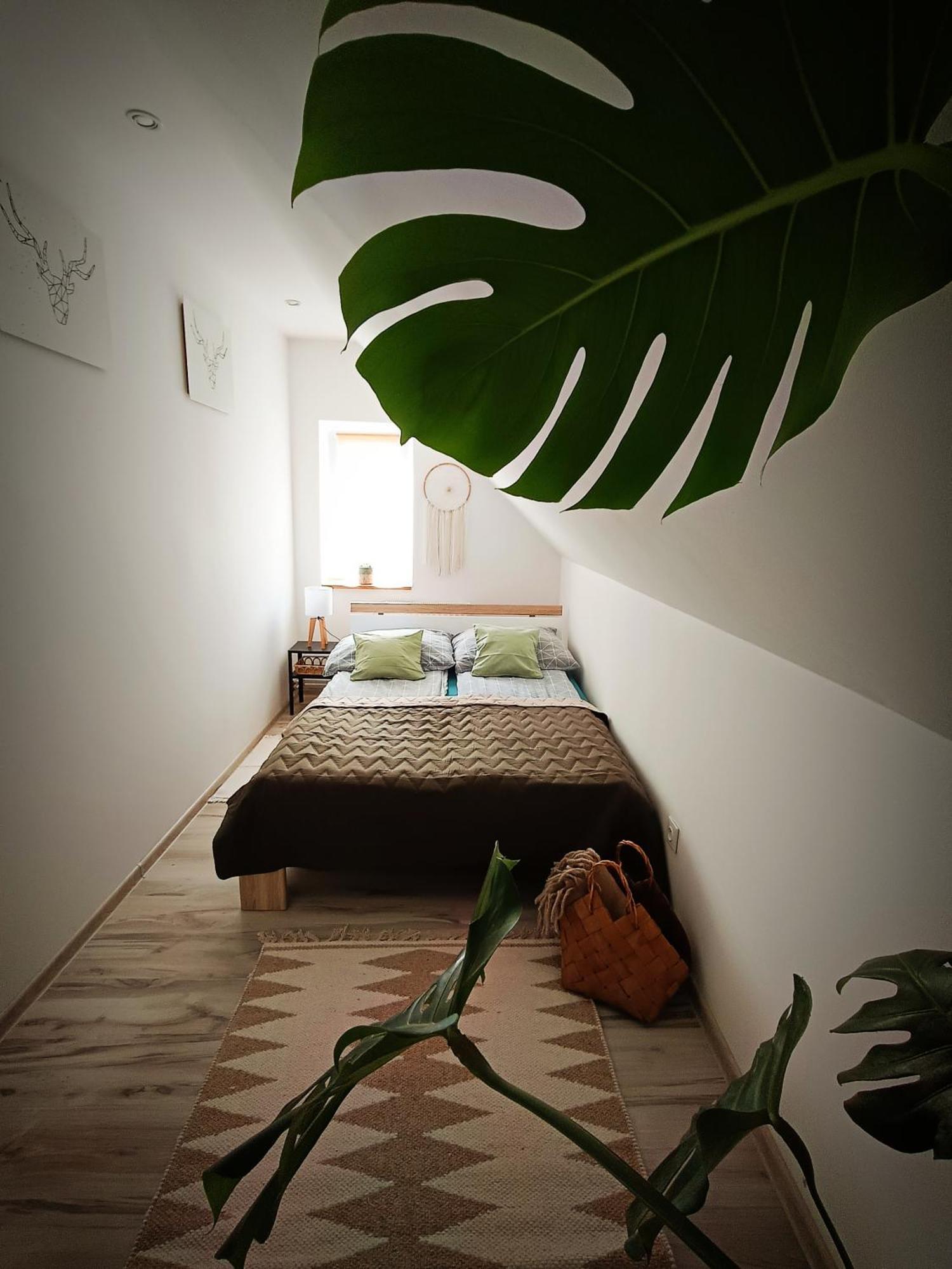 Apartament U Edka Przy Dolnej *
